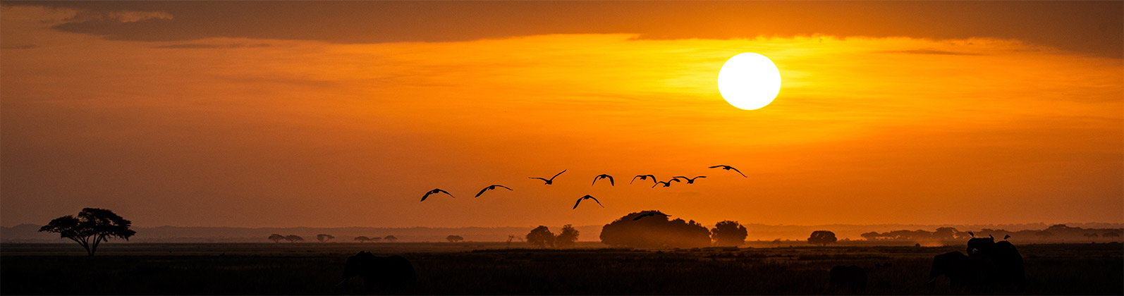 Singlereise buchen – Afrika Angebote